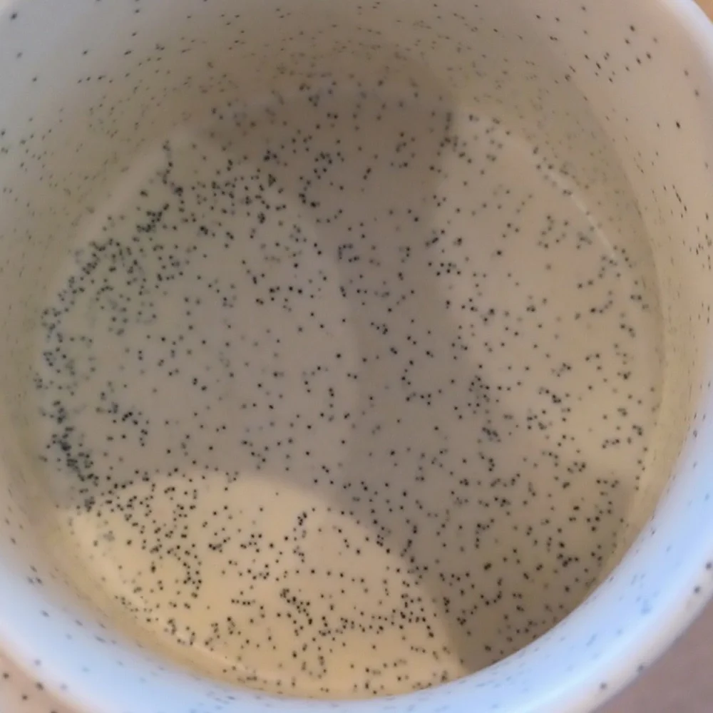 Starbuck's RARE Speckled Summer 2022 14-ounce Cactus Floral Mug - Picture 3 of 6